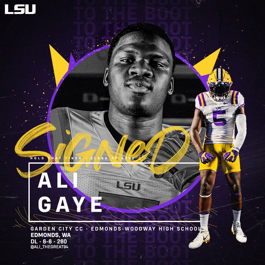 Ali Gaye
